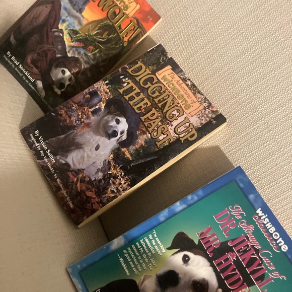 Wish bone 3 Paoerbacks book bundle as pictured like new excellent shape - Picture 4 of 5